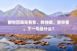 翻怕回廊花有影，移烛暗，放帘垂。下一句是什么？