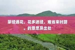 篆径通花，花多迷径，难省来时路。的意思及出处