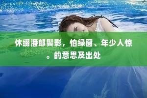休缀潘郎鬓影，怕绿窗、年少人惊。的意思及出处
