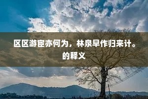 区区游宦亦何为，林泉早作归来计。的释义