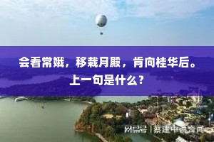 会看常娥，移栽月殿，肯向桂华后。上一句是什么？