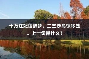 十万江妃留醉梦，二三沙鸟惊吟魄。上一句是什么？