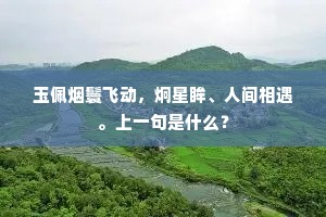玉佩烟鬟飞动，炯星眸、人间相遇。上一句是什么？
