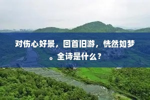 对伤心好景，回首旧游，恍然如梦。全诗是什么？