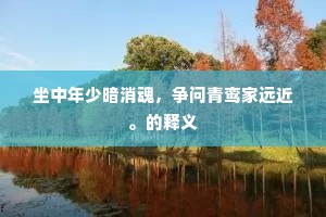 坐中年少暗消魂，争问青鸾家远近。的释义