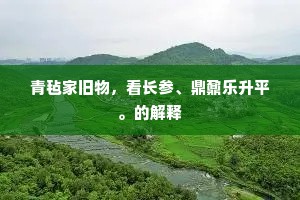 青毡家旧物，看长参、鼎鼐乐升平。的解释