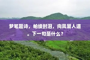 梦笔题诗，帕绫封泪，向凤箫人道。下一句是什么？