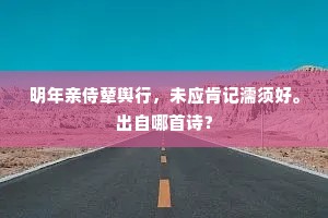 明年亲侍辇舆行，未应肯记濡须好。出自哪首诗？