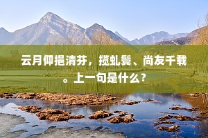 云月仰挹清芬，揽虬鬓、尚友千载。上一句是什么？