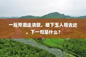 一卮芳酒送清歌，楼下玉人相去近。下一句是什么？