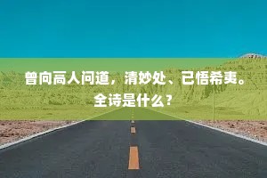 曾向高人问道，清妙处、已悟希夷。全诗是什么？