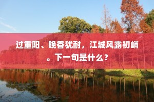 过重阳、晚香犹耐，江城风露初峭。下一句是什么？