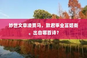 妙世文章凌贾马，致君事业富姬衡。出自哪首诗？