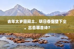 去年太岁田间土，明日香烟壁下尘。出自哪首诗？