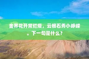 金界花开常烂熳，云根石秀小峥嵘。下一句是什么？