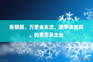看飘飘、万里去东流，道伊去如风。的意思及出处