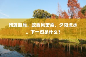 残蝉断雁，政西风萧索，夕阳流水。下一句是什么？