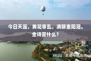 今日天涯，黄花零乱，满眼重阳泪。全诗是什么？