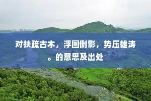 对扶疏古木，浮图倒影，势压雄涛。的意思及出处
