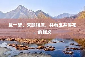 且一醉、朱颜相庆，共看玉井浮花。的释义