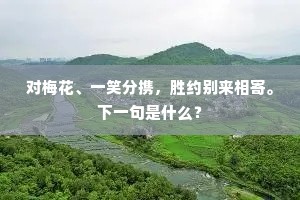 对梅花、一笑分携，胜约别来相寄。下一句是什么？