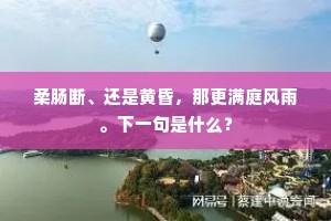 柔肠断、还是黄昏，那更满庭风雨。下一句是什么？