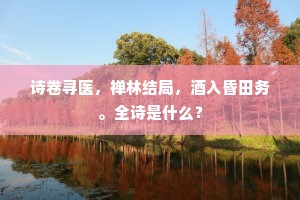 诗卷寻医，禅林结局，酒入昏田务。全诗是什么？