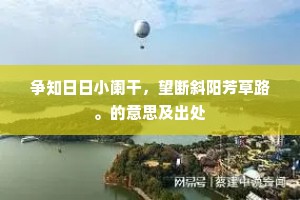 争知日日小阑干，望断斜阳芳草路。的意思及出处
