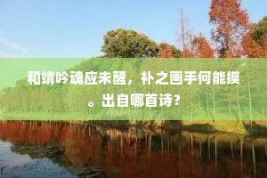 和靖吟魂应未醒，补之画手何能摸。出自哪首诗？