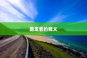 跑龙套的释义