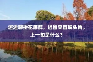 邂逅聊拚花底醉，迟留莫管城头角。上一句是什么？