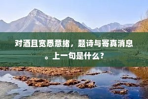 对酒且宽悉意绪，题诗与寄真消息。上一句是什么？