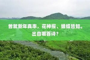 曾就新年真率，花神报、蜂蝶皆知。出自哪首诗？