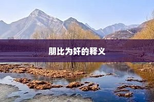 朋比为奸的释义