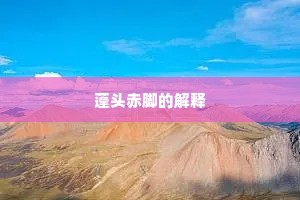 蓬头赤脚的解释