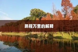 鹏程万里的解释
