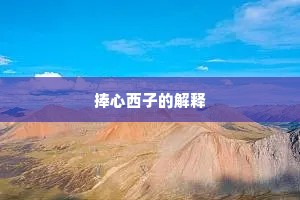 捧心西子的解释