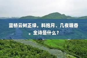 蓝桥云树正绿，料抱月、几夜眠香。全诗是什么？