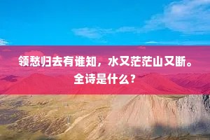 领愁归去有谁知，水又茫茫山又断。全诗是什么？
