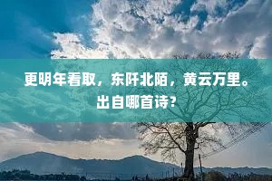 更明年看取，东阡北陌，黄云万里。出自哪首诗？