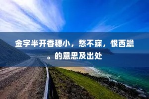 金字半开香穗小，愁不寐，恨西蟾。的意思及出处