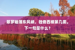 翠罗袖薄东风峭，独倚西楼第几阑。下一句是什么？