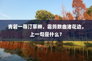 青箬一尊汀草畔，霜筠数曲渚花边。上一句是什么？