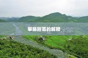 攀藤附葛的解释