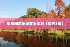 情感励志语录文案素材（精选8篇）