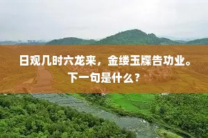日观几时六龙来，金缕玉牒告功业。下一句是什么？