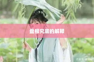 盘根究底的解释