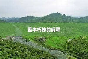 盘木朽株的解释