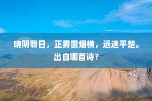 晓阴翳日，正雾霭烟横，远迷平楚。出自哪首诗？