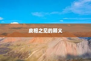 皮相之见的释义